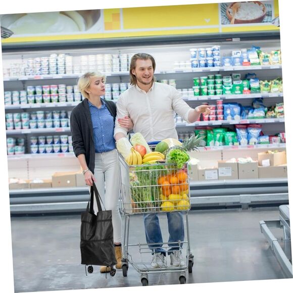 Black Metal Canvas Foldable Grocery Bag Outdoor (4389) - Picture 8 of 9